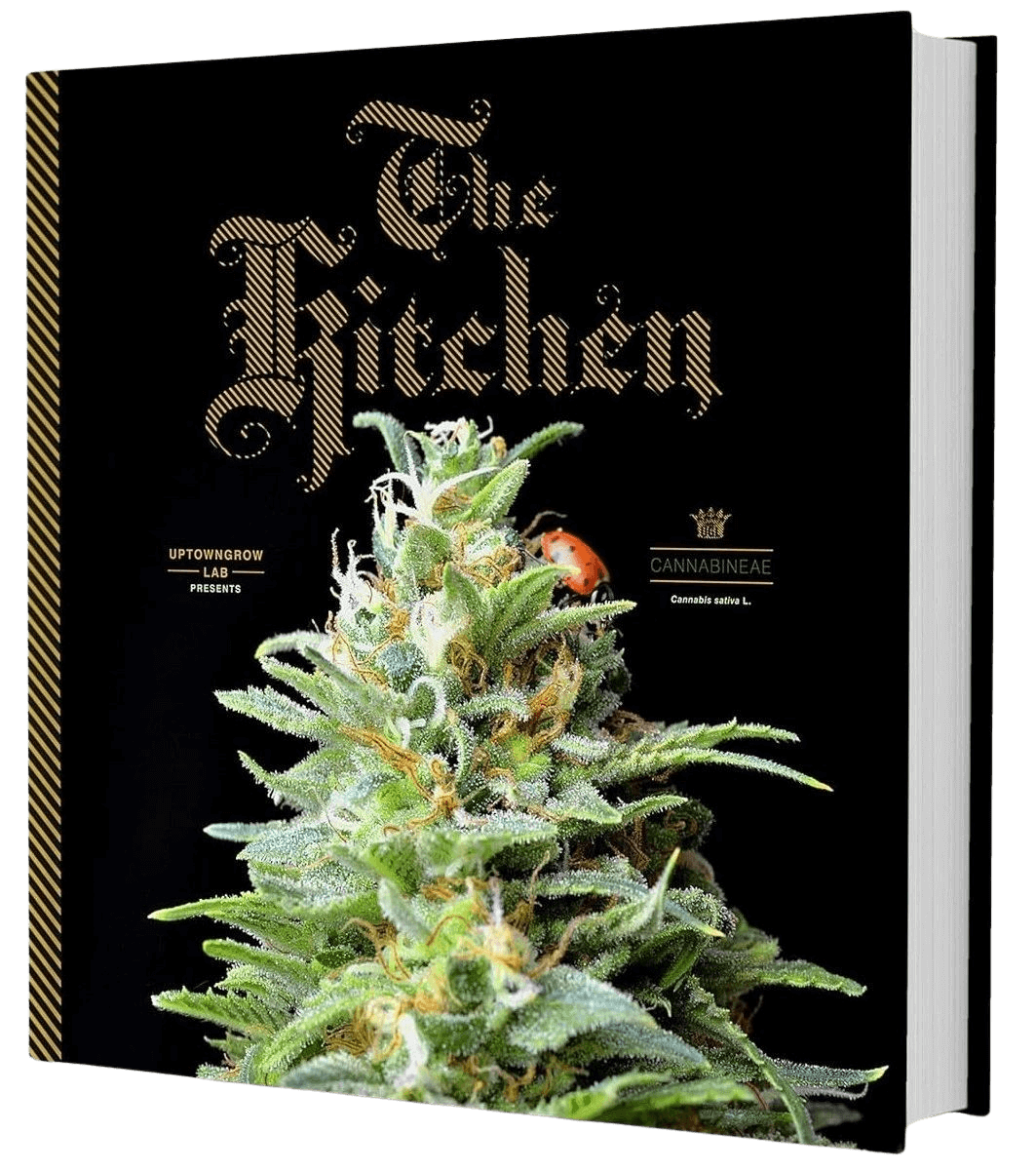 A book cover with a picture of a marijuana plant.